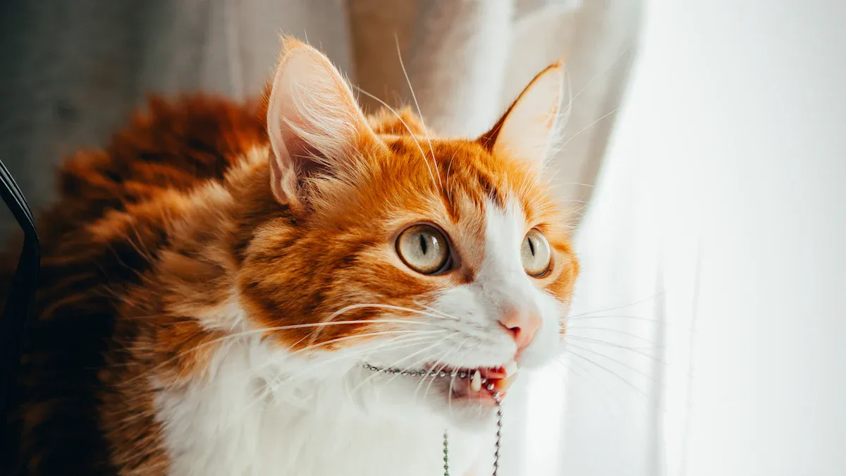 Practical Applications of Digital Tags Across Animal Groups