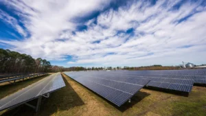 Understanding the Energy That Drives Electronic Shelf Labels